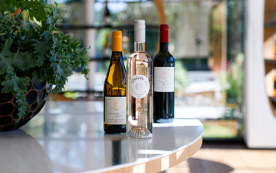 Tout savoir sur la nouvelle tendance du vin sans alcool