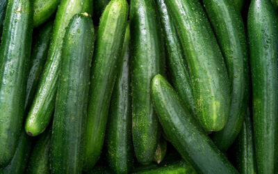 Tout savoir sur le virus de la mosaïque du concombre