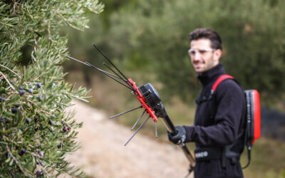 Le nouveau vibreur électrique à olives !