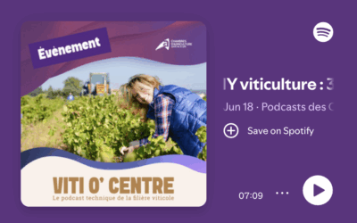 Viti O’ Centre : un nouveau podcast moderne et technique