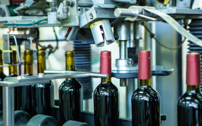 Bilan 2025 : la France viticole entre rebonds et fragilités