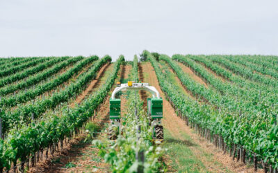 TED : l’allié robotiquede la viticulture durable