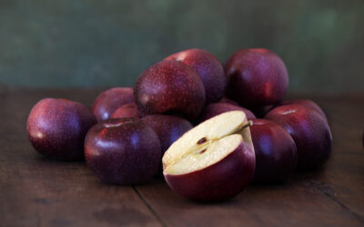 SIVAL 2026 : Innovation arboriculture