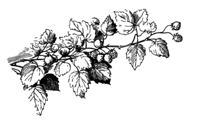 La bouillie bordelaise