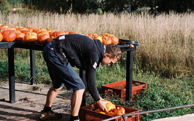 10 bonnes raisons de se lancer dans l’agritourisme