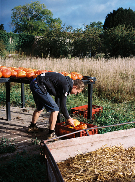10 bonnes raisons   de se lancer dans l’agritourisme