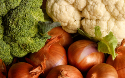 Bilan 2025 : la production légumière française face à la volatilité