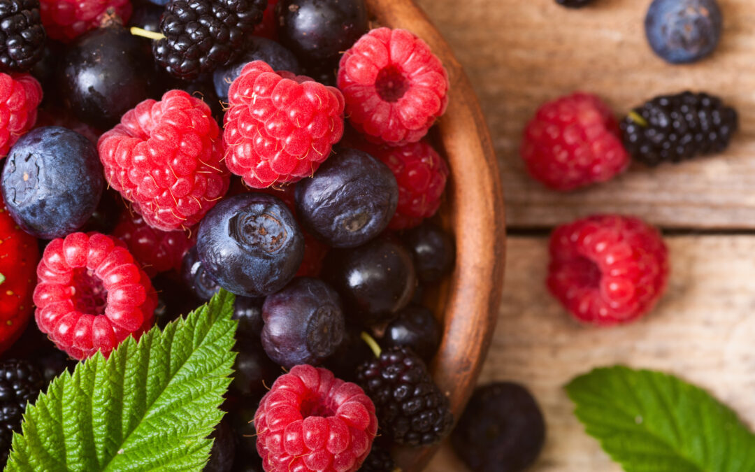 Fruits rouges : les 10 atouts du palissage